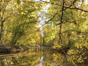 Clear Creek