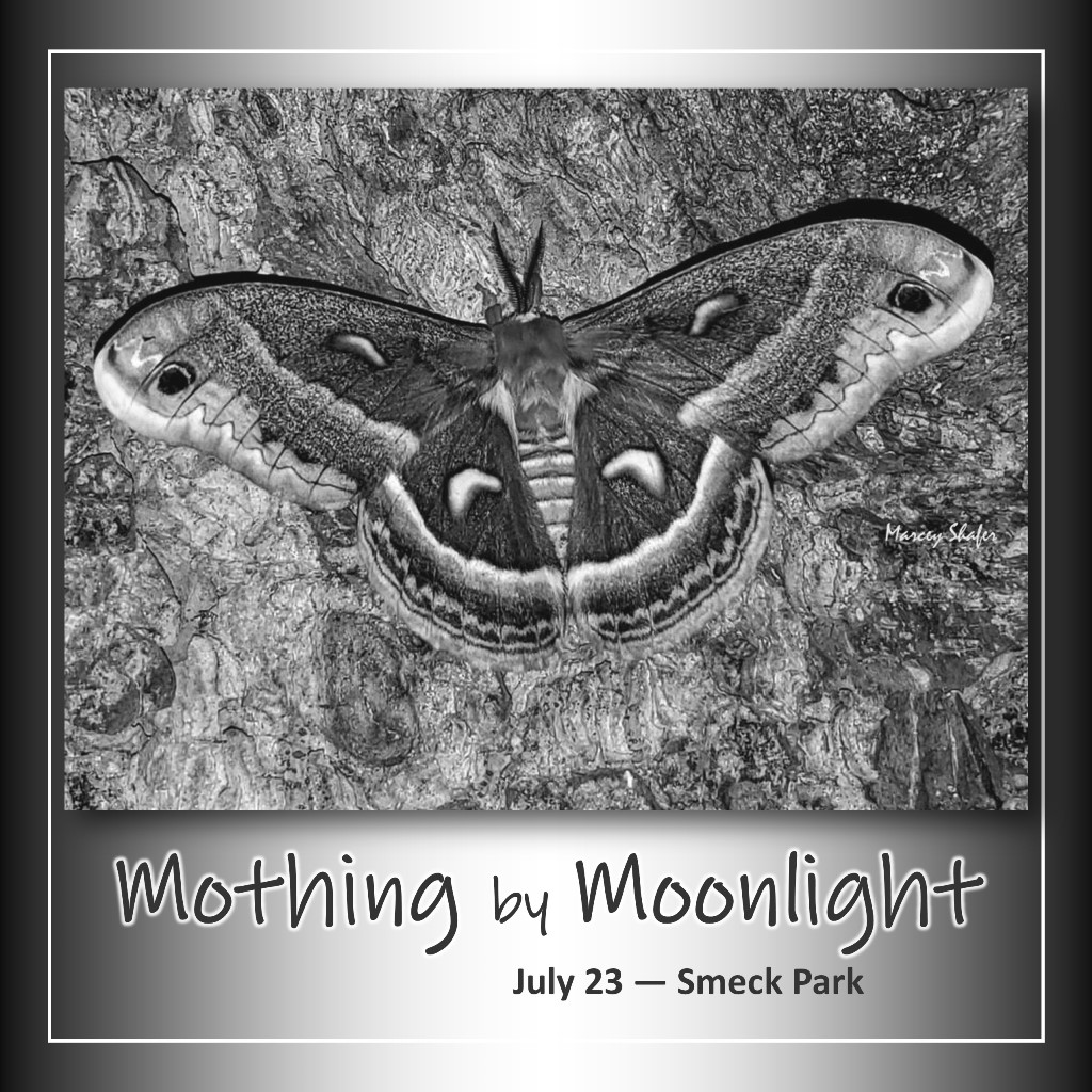 Mothing by Moonlight - July 23 at Smeck Park