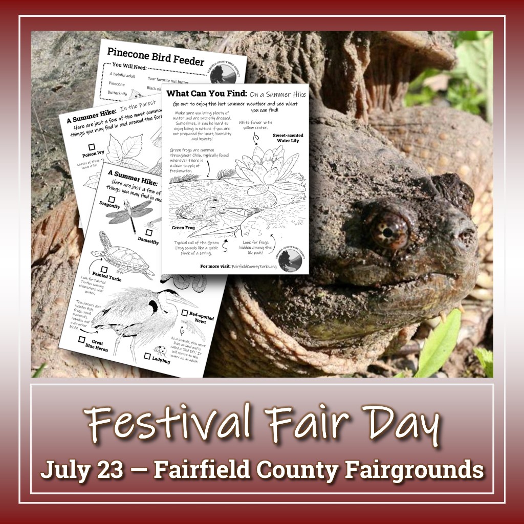 Festival Fair Day - July 23