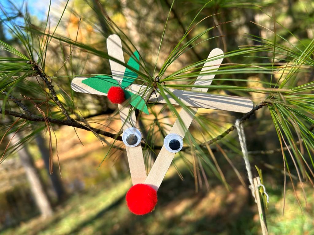 NEATure Craft: Holiday Ornaments (Mambourg Park)