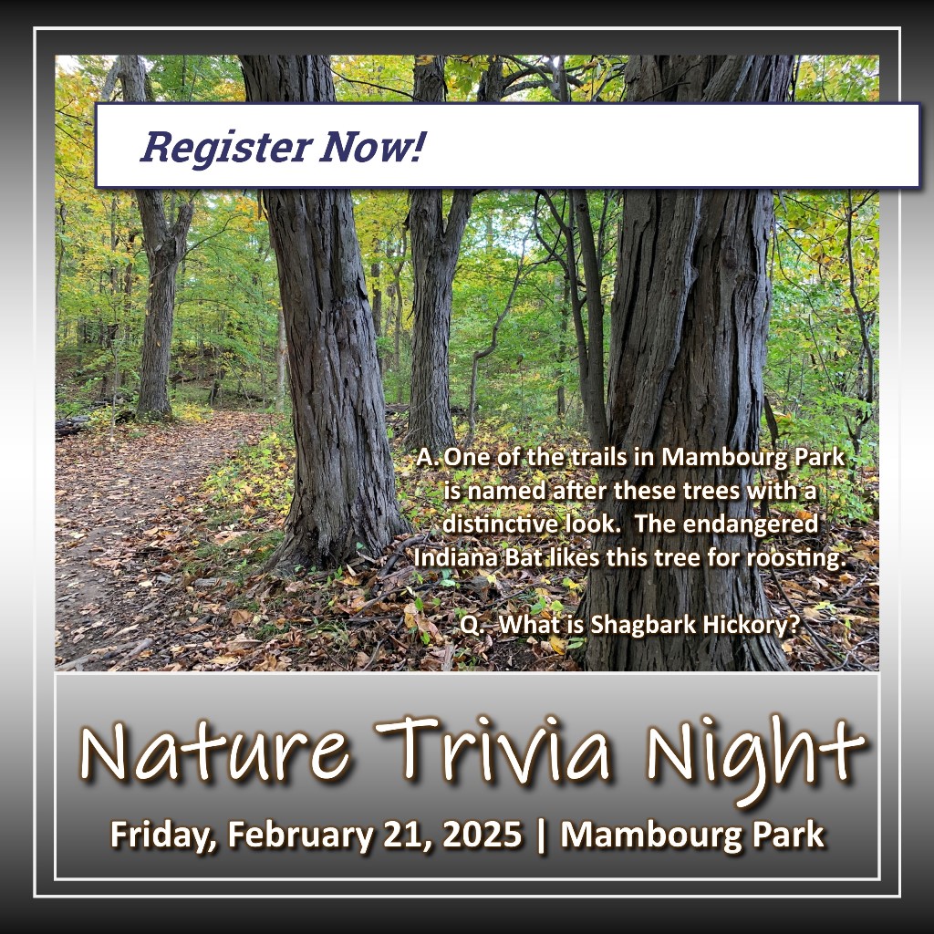 Nature Trivia Night (Mambourg Park)