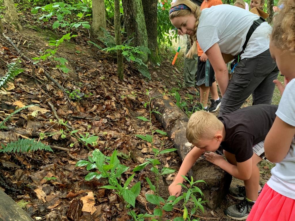 Kids Searching for Bugs